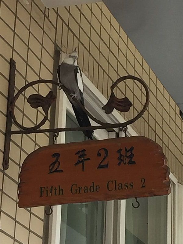 photo