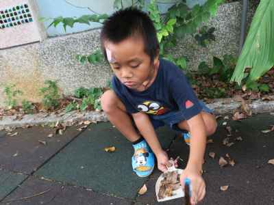 photo