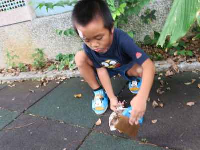 photo