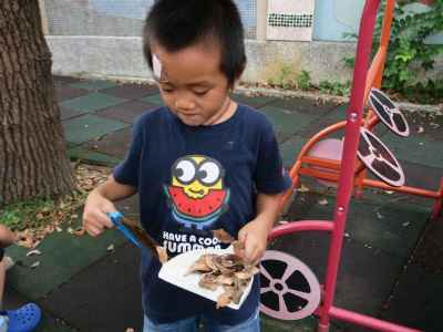 photo