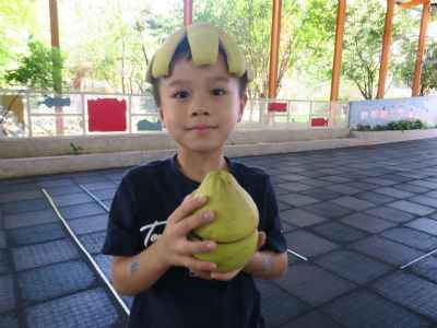 photo