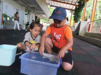 photo