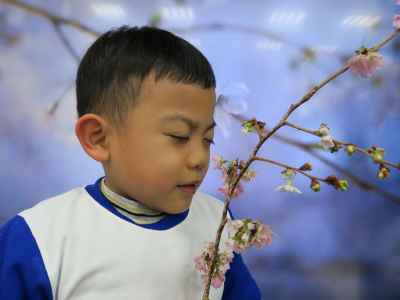 photo
