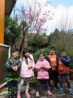 photo