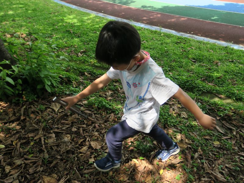 photo