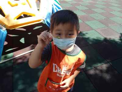 photo