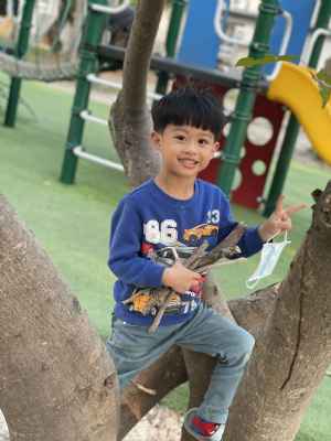 photo